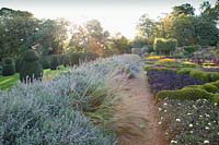 Pathway alongside contemporary parterre lined with Nepeta 'Six Hills Giant' and Stipa calamagrostis on the left above topiary garden 
Garden: Broughton Grange, Oxfordshire 
Head gardener: Andrew Woodall