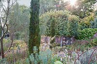 Late summer planting of Euphorbia Achillea, grasses and Yew spires 
Garden: Broughton Grange, Oxfordshire 
Designer:  Tom Stuart-Smith