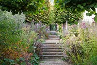Formal pathway and steps through Tilia x europea pleached limes, Asters, Hydrangea, and Veronicastrum 
Garden: Broughton Grange, Oxfordshire 
Head gardener: Andrew Woodall
