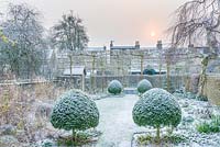 A wintery sky over a formal town garden with Buxus - box topiary and 
pleached trees
