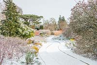 The Winter Garden, Cambridge Botanic Gardens, UK. 