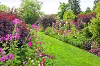 Mixed double borders of annuals, perennials and shrubs, Weihenstephan Trial Garden, Germany. 