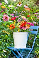 Bucket of summer flowers on chair in colourful cutting garden.
