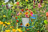 Bucket of summer flowers on chair in colourful cutting garden.