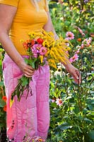 Woman picking summer flowers for an arrangement.