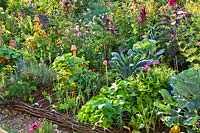 Productive vegetable bed with companion planting