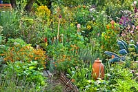Productive vegetable garden with companion planting.