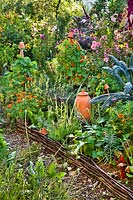 Productive vegetable garden with companion planting.
