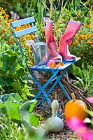 Display of wellington boots, harvested pumpkins and watering can in vegetable garden.