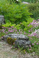 Limestone rock garden with Phuopsis stylosa, Aethionema grandiflorum and Paeonia emodi. 