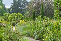 Mediterranean beds in Cambridge Botanic Gardens with drought tolerant plants.
