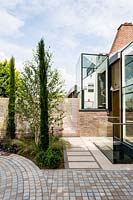 Contemporary house with stone sett paving with Betula utilis jacquemontii -
Himalayan birch - multi-stemmed
 tree and pencil Cupressus in circular border with cedar batten fence 