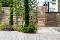 Contemporary house with circular stone sett paving beside planted bed with 
Betula utilis jacquemontii - Himalayan birch - multi-stemmed tree and pencil 
Cupressus. Planting against a backdrop of cedar battened trellis fence.