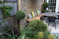 View across planted bed towards white stone patio, with modern furniture
 and wooden seating dressed with garden cushions against brick wall. Plants include
Ligustrum jonandrum half standard on the patio and a large Ilex crenata ball
 in the border.
