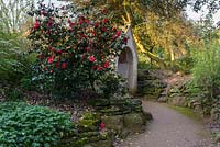 Path with banks edged with stones leading to building partially hidden by camellia in flower
