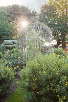 Yellow themed planting including Verbascum, Roses, and Potentilla fruticosa with decorative metal gazebo. Bowley Farm, Sussex, UK.
