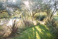 Phormium and grasses growing on the banks of a lake. Bowley Farm, Sussex, UK. 