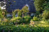 Cottage county garden and thatched cottage. 
