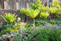 Stumpery with sculptural wooden stumps and tree ferns. Arundel Castle, West Sussex, UK. 