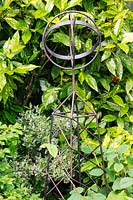 Metalwork sculpture surrounded by foliage, including spotted laurel - Aucuba japonica 'Crotonifolia', variegated euonymous and hazel - Corylus