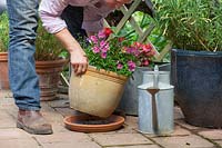 Placing a tray under containers and watering thoroughly before going on holiday