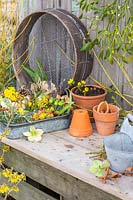 Still life with foraged winter flowers, tools and terracotta pots.