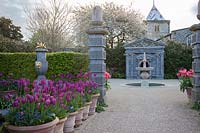 View of Fitzalan Chapel, fountain and colourful containers of Tulipa. Arundel Castle, West Sussex, UK