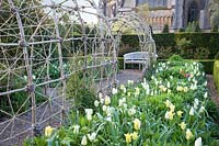 Rustic arbours with mixed Tulipa. Arundel Castle, West Sussex, UK