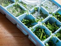 Chopped parsley for freezing, ading water to ice cube tray. Herbs for the kitchen. 