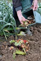 Direct composting kitchen food waste on soil