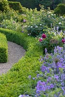 View along mixed flowering border edged with low Buxus hedging. 

