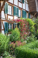 Mixed flowerbed outside traditional Swiss house. 
