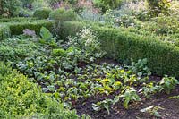 Detail of the Buxus framed vegetable garden with beans, beetroot and salad. 
