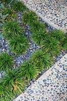 Looking down on hard surface of pebbles in concrete with gravel bed planted with Ophiopogon japonicus - 
mondo grass