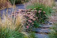 View along path and mixed border with Hylotelephium 'Matrona' - stonecrop 'Matrona' and Stipa tenuissima - Mexican feather grass. 