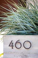 Leymus condensatus 'Canyon Prince', planted in concrete planter with house number attached to the front. 