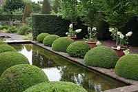 Cushion-shaped topiary balls in the Upper Rill garden at Wollerton Old Hall, Shropshire, UK. 