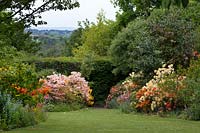 Rhododendrons at Dorothy Clive Garden, Willoughbridge, Shorpshire, UK