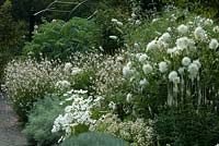 White border with flowers of Dahlia, Gaura, Cosmos, Artemsia and Buddleja