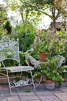 Relaxing area on a patio, chair and matching stand with a potted 
Pelargonium 'Pink Capitatum'