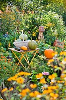 Vegetable harvest on garden table, including pumpkins and courgettes.
