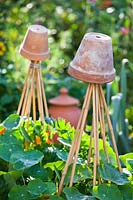 Upturned terracotta pot on top of wigwam of bamboo canes, support for nasturtium