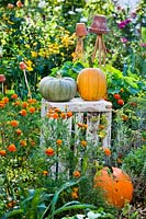 Pair of harvested pumpkins on a wooden crate, plus another on the ground, in a potager style garden.