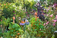 Potager-style garden with a mix of vegetables, flowers and herbs. Wooden trug
of peppers, kale and courgettes, nearby nasturtiums trained up bamboo cane wigwams