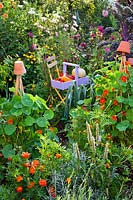 Trug of harvested vegetables in organic vegetable garden.