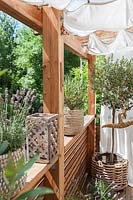 View of mediterranean balcony, with baskets of Lavender - Lavandula and olive tree - Olea europaea, shaded from the sun by white curtains and blinds.