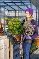 Woman walking through open gateway with pots of evergreens.