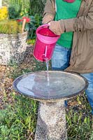 Woman pouring warm water in bird bath to try and melt the frozen ice.