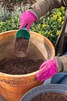 Woman adding scoop of compost into large terracotta pot.