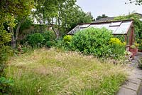 Wild meadow area and greenhouse at the rear of the garden. 